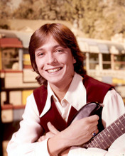 THE PARTRIDGE FAMILY DAVID CASSIDY PRINTS AND POSTERS 259890