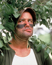 BILL MURRAY FROM STRIPES IN HELMET PRINTS AND POSTERS 259540