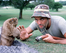BILL MURRAY CADDYSHACK GOPHER PRINTS AND POSTERS 259539