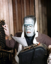 FRED GWYNNE THE MUNSTERS PRINTS AND POSTERS 259423