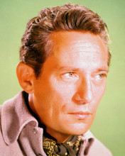 PETER FINCH PRINTS AND POSTERS 259391