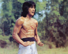 JACKIE CHAN PRINTS AND POSTERS 259312