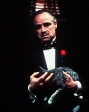 MARLON BRANDO THE GODFATHER WITH CAT PRINTS AND POSTERS 259292
