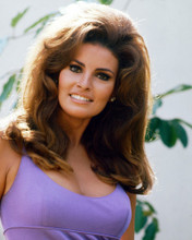 RAQUEL WELCH BUSTY PURPLE TOP 60'S PRINTS AND POSTERS 259183