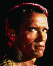 ARNOLD SCHWARZENEGGER PRINTS AND POSTERS 259143
