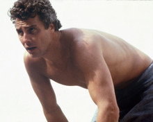 WILLIAM PETERSEN HUNKY BARE CHESTED PRINTS AND POSTERS 259120