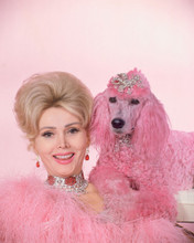 ZSA ZSA GABOR WITH PINK POODLE PRINTS AND POSTERS 259009