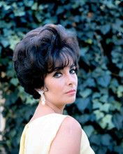 ELIZABETH TAYLOR PRINTS AND POSTERS 258745