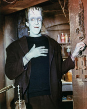 FRED GWYNNE THE MUNSTERS PRINTS AND POSTERS 258562