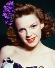 JUDY GARLAND PRINTS AND POSTERS 258541