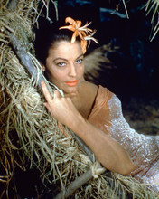 AVA GARDNER PRINTS AND POSTERS 258539