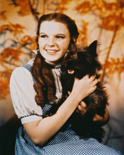 JUDY GARLAND TOT WIZARD OF OZ PRINTS AND POSTERS 25849