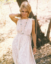 ANGIE DICKINSON IN SUMMER DRESS PRINTS AND POSTERS 258486