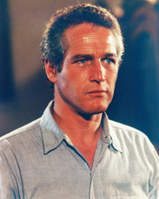 PAUL NEWMAN PRINTS AND POSTERS 258007