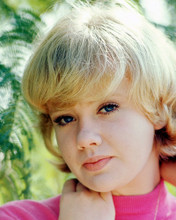 HAYLEY MILLS PRINTS AND POSTERS 257992