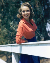 JANET LEIGH PRINTS AND POSTERS 257951