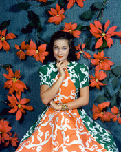 DOROTHY LAMOUR PRINTS AND POSTERS 257940