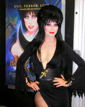 CASSANDRA PETERSON BUSTY PRINTS AND POSTERS 257850