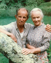 JESSICA TANDY & HUME CRONYN PRINTS AND POSTERS 257710