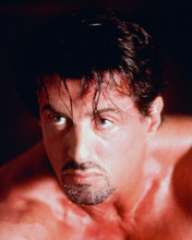 GET CARTER SYLVESTER STALLONE PRINTS AND POSTERS 257441