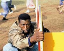 WESLEY SNIPES PRINTS AND POSTERS 257436