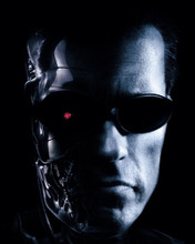 ARNOLD SCHWARZENEGGER PRINTS AND POSTERS 257415