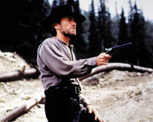 CLINT EASTWOOD PRINTS AND POSTERS 257165