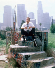 FALLING DOWN MICHAEL DOUGLAS LOS ANGELES PRINTS AND POSTERS 257134
