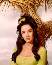 LINDA CRISTAL THE HIGH CHAPARRAL PRINTS AND POSTERS 257084