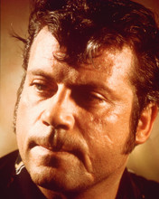 OLIVER REED PRINTS AND POSTERS 256850