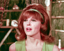 TINA LOUISE PRINTS AND POSTERS 256807