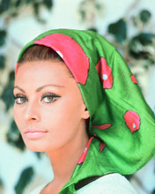 SOPHIA LOREN IN GREEN HEAD SCARF WOW! PRINTS AND POSTERS 256805