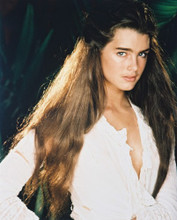 THE BLUE LAGOON BROOKE SHIELDS PRINTS AND POSTERS 25671