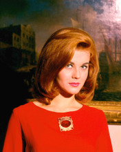 ANN-MARGRET PRINTS AND POSTERS 256601