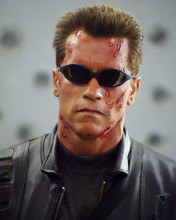 ARNOLD SCHWARZENEGGER PRINTS AND POSTERS 256557
