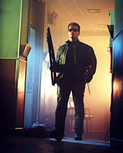 ARNOLD SCHWARZENEGGER PRINTS AND POSTERS 256556