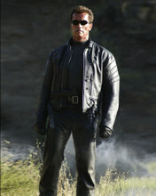 ARNOLD SCHWARZENEGGER PRINTS AND POSTERS 256555