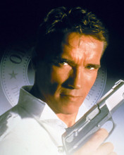 ARNOLD SCHWARZENEGGER PRINTS AND POSTERS 256554