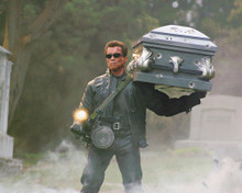 ARNOLD SCHWARZENEGGER PRINTS AND POSTERS 256551