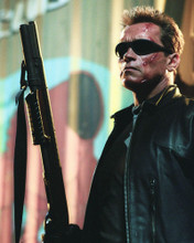 ARNOLD SCHWARZENEGGER PRINTS AND POSTERS 256550