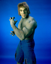 INCREDIBLE HULK LOU FERRIGNO GREEN CHEST PRINTS AND POSTERS 256429