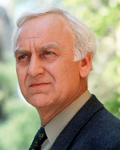 JOHN THAW PRINTS AND POSTERS 256296