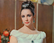 THE V.I.P.S ELIZABETH TAYLOR PRINTS AND POSTERS 256294