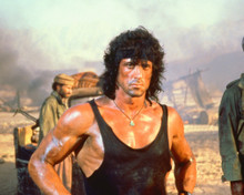 SYLVESTER STALLONE PRINTS AND POSTERS 256286