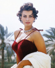 SOPHIA LOREN RARE STUNNING RED DRESS PRINTS AND POSTERS 256206