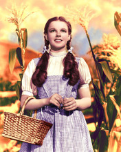 JUDY GARLAND PRINTS AND POSTERS 255825