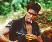 CHARLIE SHEEN PLATOON PRINTS AND POSTERS 255444