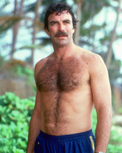 TOM SELLECK MAGNUM, P.I. BARECHESTED PRINTS AND POSTERS 255442