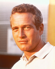 PAUL NEWMAN PRINTS AND POSTERS 255396