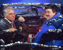 STEVE MARTIN & JOHN CANDY PLANES, TRAINS & AUTOMOBILES PRINTS AND POSTERS 255364